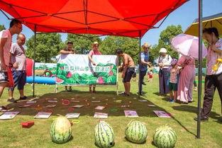 儿童吃瓜趣味活动