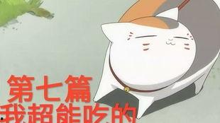 猫咪老师吃瓜,吃瓜背后的趣味与智慧