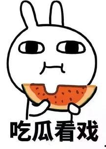 安和桥吃瓜事件,揭秘网络舆论的狂欢与反思