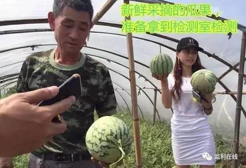 瓜棚下吃瓜群众